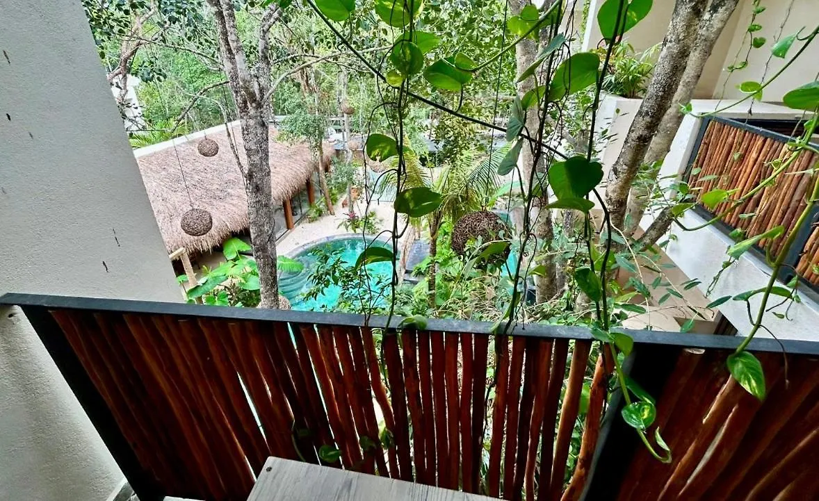Penthouse Maxia Serenidad Y Comfort Tulum Appartement